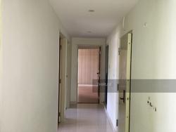 Blk 310B Anchorvale Road (Sengkang), HDB Executive #146766792